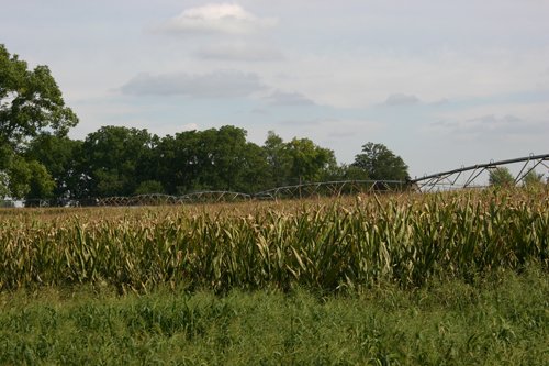Property photo 114 - 21 Multiple Span Irrigation Pivots, Offered Individually or Combination - Irrigation Equipment Auction